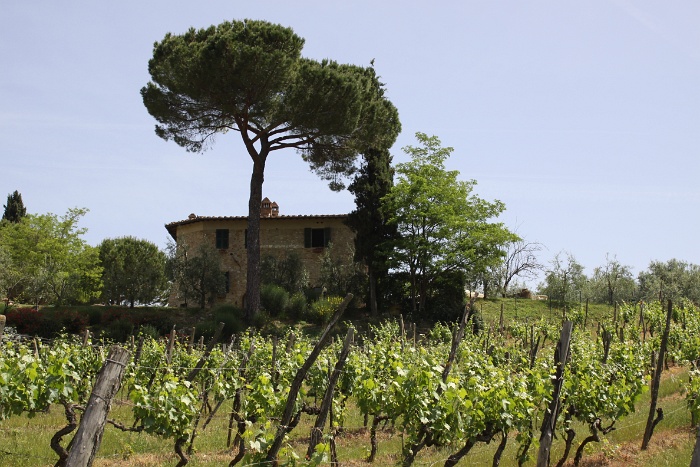 Toscane 09 - 287 - Paysages